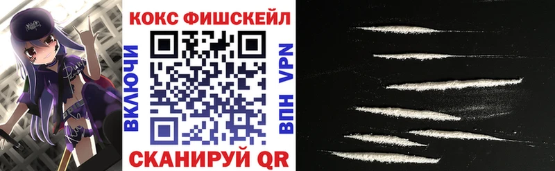 Cocaine FishScale  цена наркотик  Кингисепп 