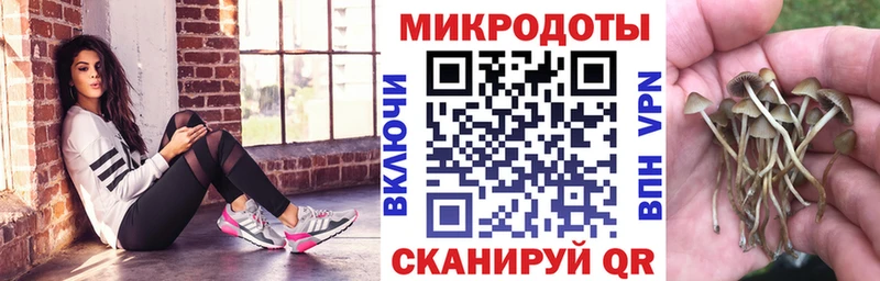 Галлюциногенные грибы GOLDEN TEACHER  Кингисепп 